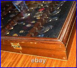48 Vintage Collectors State Spoons & Wood & Glass Case or Pick Spoons Only, Nice