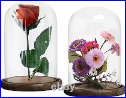 8 Inch Clear Glass Cloche Bell Jar Display Case with Round Wood Base, Set of 2