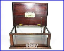 Antique Boston Garter Desktop Wood & Glass Display Box