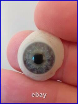 Antique German Prosthetic Blue Glass Eye Treen Box/fruit Wood Case