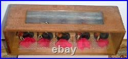 Antique Japanese Miniature Wig Display with Wood & Glass Case P1613