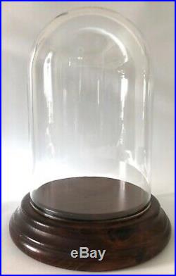 Antique Large 12 x 8 Glass Display Dome Case Plus Original Wood Base