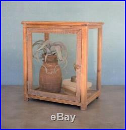 Antique Style 18 in Tall Glass Door Wood Frame Tabletop Display Case Terrarium