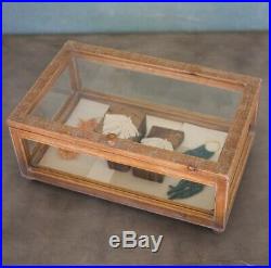 Antique Style Glass Wood Tabletop Display Case Terrarium Jewelry Trinket Box