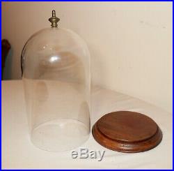 Antique glass wood base cloche dome bell jar statue display case brass finial