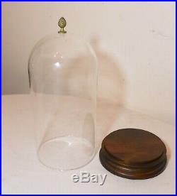 Antique glass wood base cloche dome bell jar statue display case bronze finial