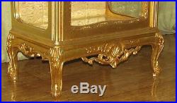 Case Baroque Style Gold Glass Case #as31