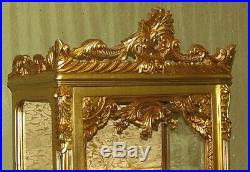 Case Baroque Style Gold Glass Case #as31