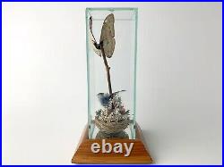 DISPLAY TAXIDERMY BUTTERFLY GLASS & Wood BEAUTIFUL MORPHO MENELAUS BLUE LARGE