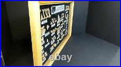 Fish & Repitle Fossils Displayed in Large Wood/Glass Display Case 19 X 11