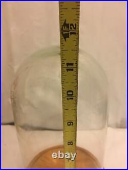 Hand Blown Glass Dome Display Case Wood Base 7x11