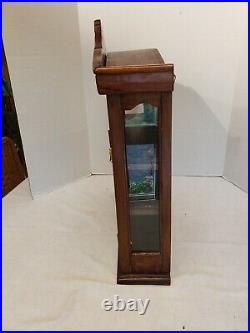 Hanging Wood and Glass Curio Display Cabinet Case 25 x 19.5