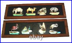 Magic Lantern Slides Animals c1850 Cased Set Of 12 Hand Painted 48 Animals