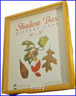 NEW Shadow Box 16x20 Picture Frame WALNUT Wood Glass Display Case Holly Lobby 8#
