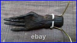 The HAND OF GLORY in GLASS METAL FRAMED CASE. ANTIQUE CARVED WOOD, LEGENDARY
