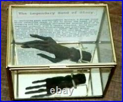 The HAND OF GLORY in GLASS METAL FRAMED CASE. ANTIQUE CARVED WOOD, LEGENDARY