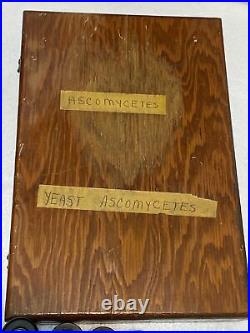 VINTAGE RESEARCH MICROSCOPE WOOD CARRYING CASE GLASS SLIDES LENSES + More