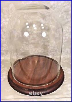Vintage Glass Display Dome with Wood Base