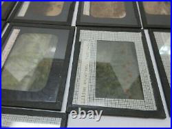 Vintage Lot of 42 Photo Glass Slides with wood case Systematic Botany